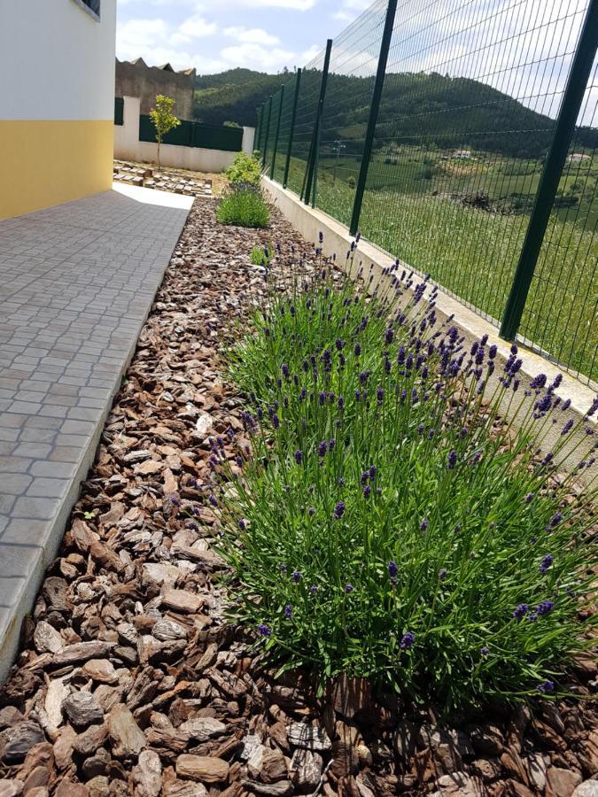 Casa Da Caroleira Villa Pacos  Kültér fotó
