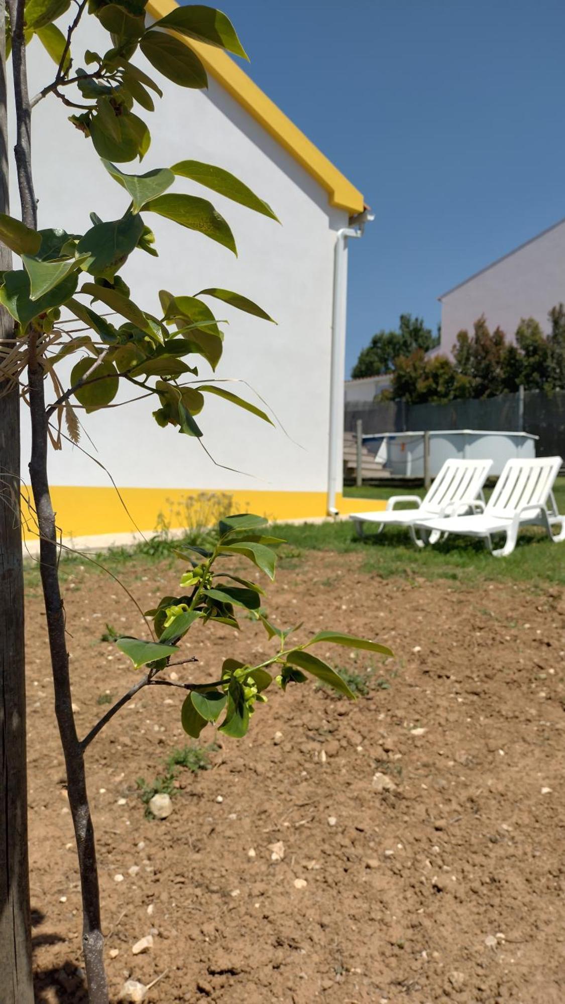 Casa Da Caroleira Villa Pacos  Kültér fotó